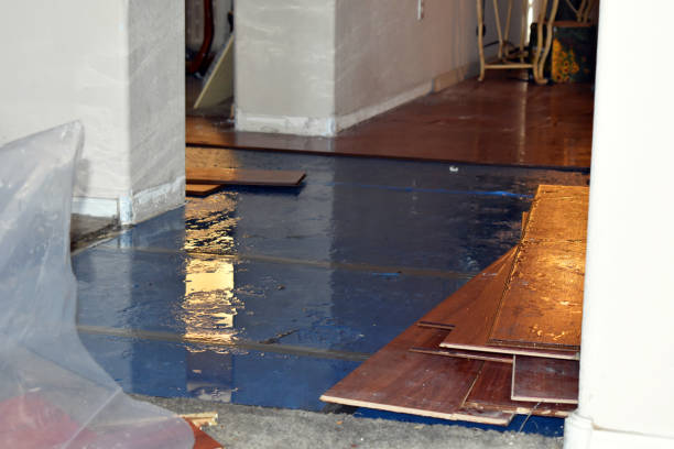 Professional Emergency Water Damage Restoration technician working in Brighton, MA